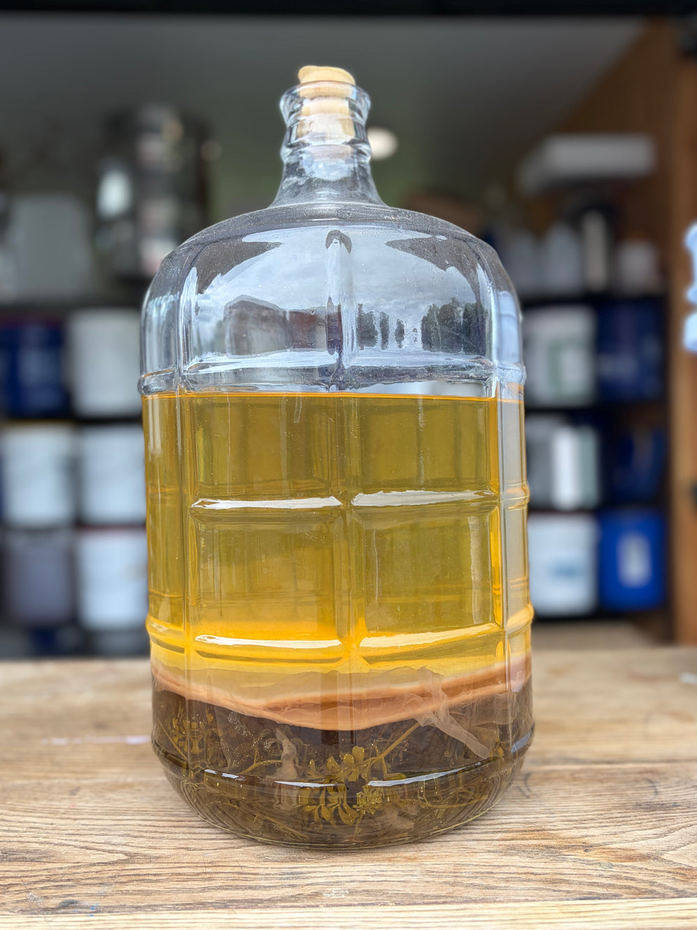 Summer Vinegar Club 9